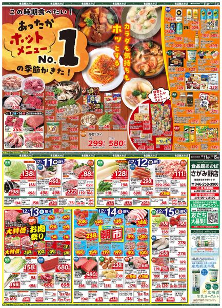 レギュラーチラシ-1