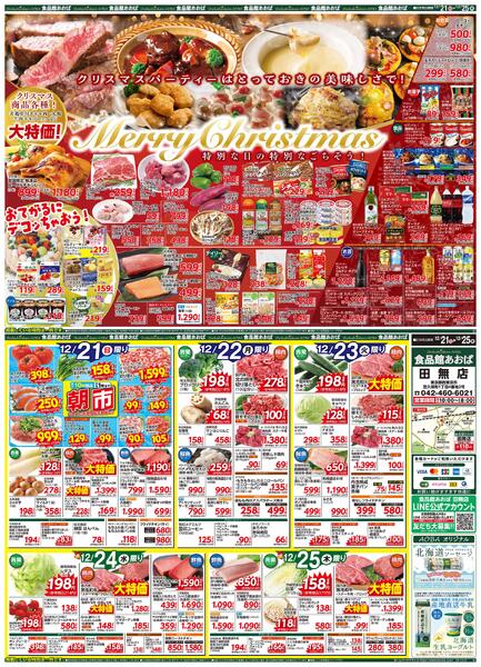 レギュラーチラシ-1