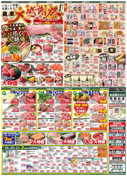 レギュラーチラシ-1