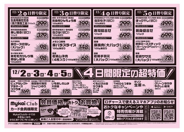 折り込みチラシ-2