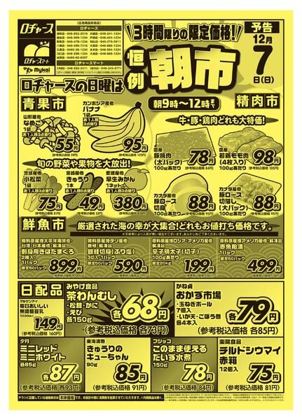 折り込みチラシnew-1