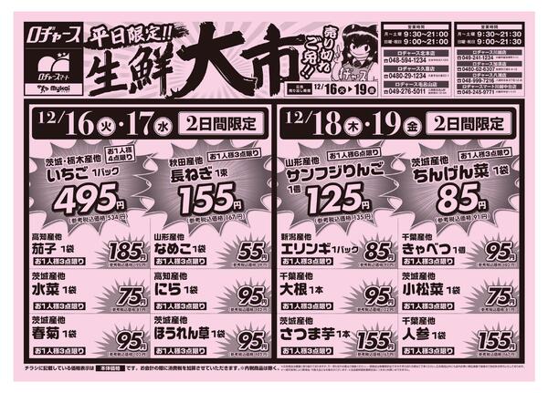 折り込みチラシnew-1