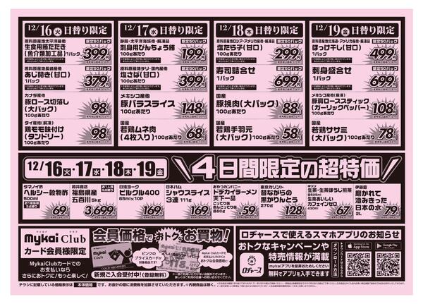 折り込みチラシnew-2