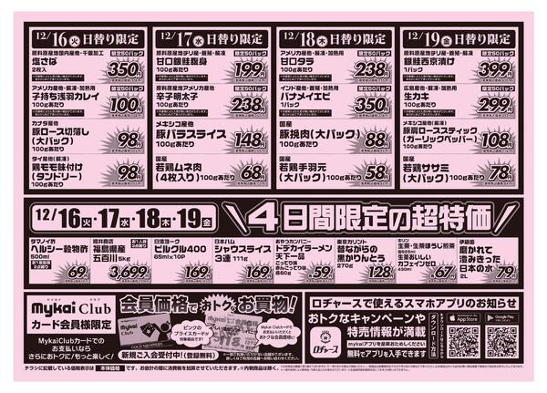 折り込みチラシnew-2