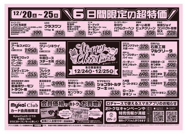 折り込みチラシnew-2