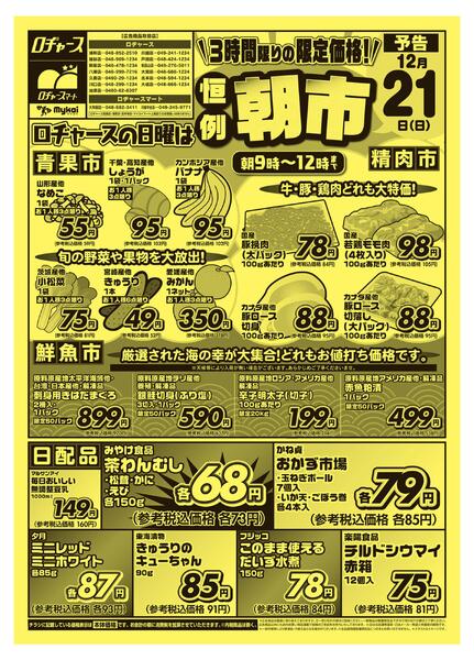 折り込みチラシnew-1