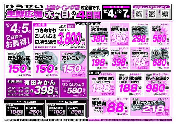 最新チラシnew-5