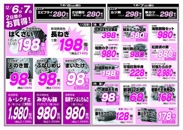 最新チラシnew-6