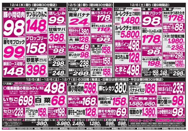 最新チラシnew-3