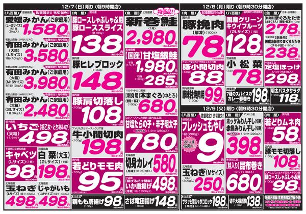 最新チラシnew-4