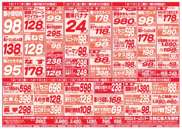 最新チラシnew-9