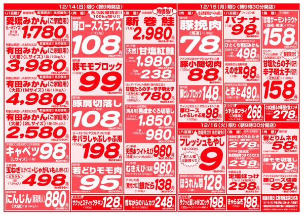 最新チラシnew-10