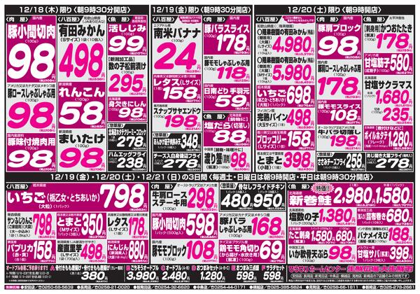 最新チラシnew-3