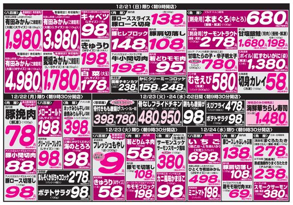 最新チラシnew-4