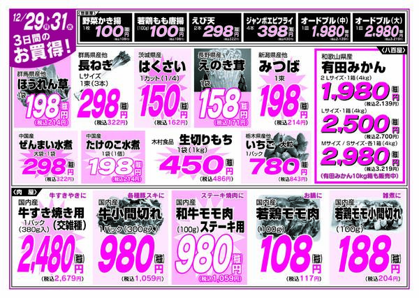 最新チラシnew-12