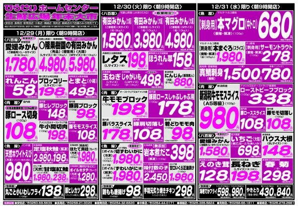 最新チラシnew-9