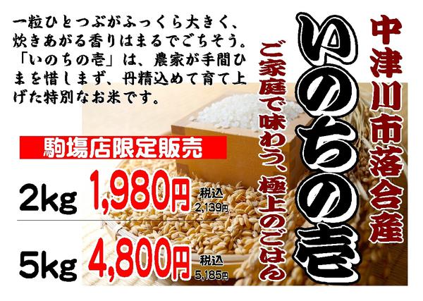 2025年11月20日〜12月31日まで駒場店で販売中-1