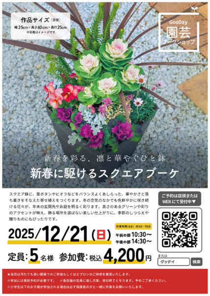 2025年12月1〜21日まで12/21開催_寄せ植えワークショップ-1