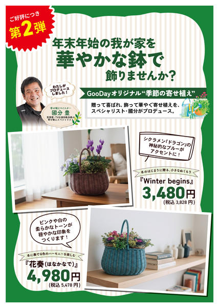 2025年12月12〜19日までGooDayオリジナル 季節の寄せ植えnew-1