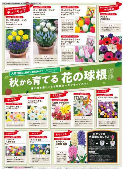 2025年9月25日〜12月31日までガーデニングフェア-4