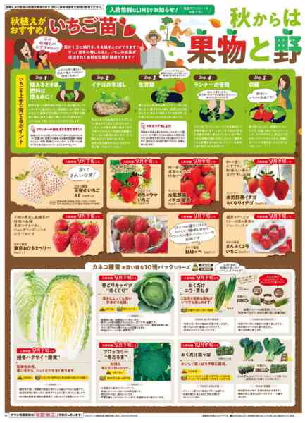 2025年9月25日〜12月31日までガーデニングフェア-6