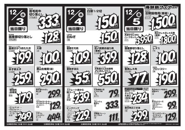 レギュラーチラシ-2