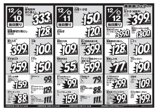 レギュラーチラシ-2