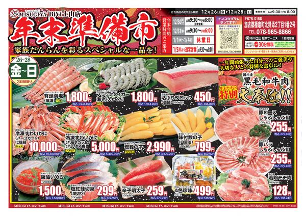 レギュラーチラシ-1