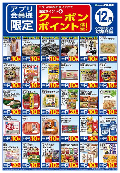 2025年11月27日〜12月31日まで12月アプリクーポン対象商品-1
