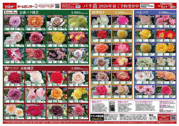 2025年10月1日〜2026年1月31日まで2026年バラ苗早期予約販売-2