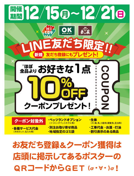 2025年12月15〜21日までクーポン配布中！new-1