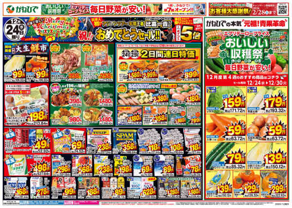 2025年12月24〜26日まで比嘉一貴プロ年間王者おめでとうセール-1