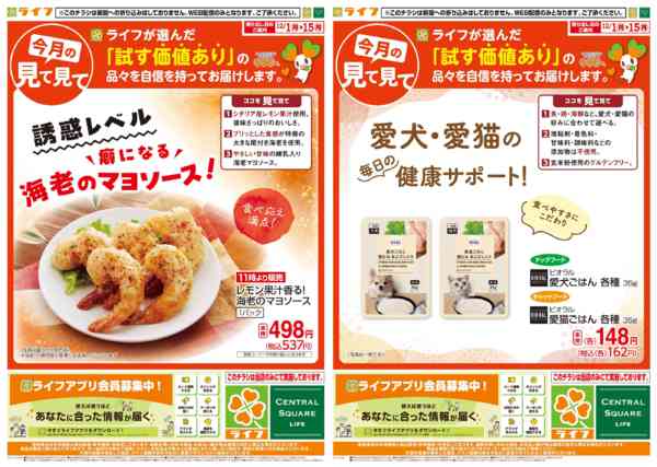 2025年12月1〜15日まで今月の見て見て-2