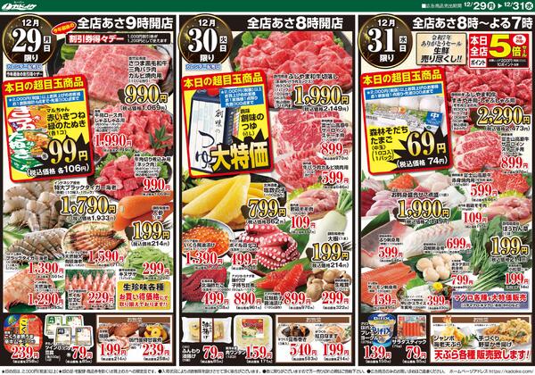 レギュラーチラシ-2