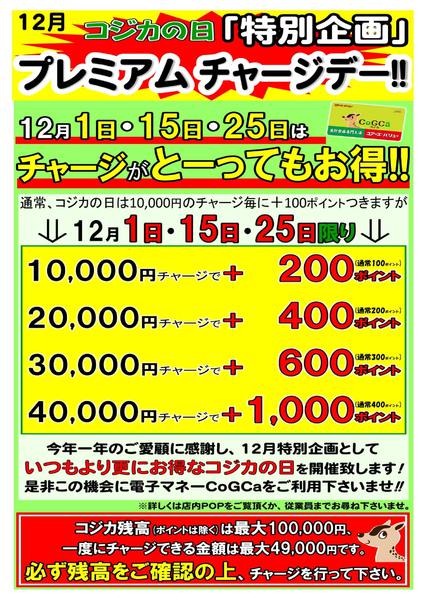 2025年11月29日〜12月25日まで-1