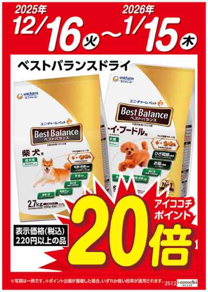 2025年12月16日〜2026年1月15日までベストバランスドライ　ポイント20倍-1