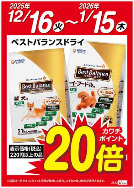 2025年12月16日〜2026年1月15日までベストバランスドライ　ポイント20倍new-1