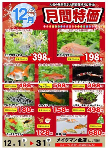 2025年12月1〜31日まで熱帯魚月間特価-1