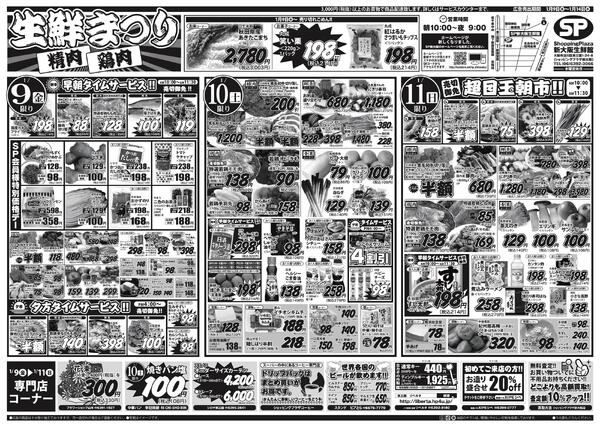 最新チラシnew-1