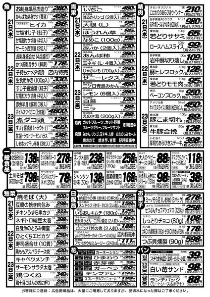 最新チラシnew-2