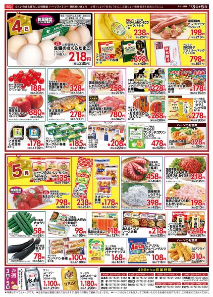 最新チラシnew-2