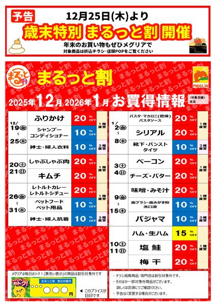 最新チラシnew-3