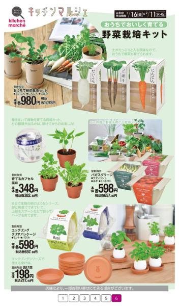 １月１６日（金）～２月１１日（水）new-6