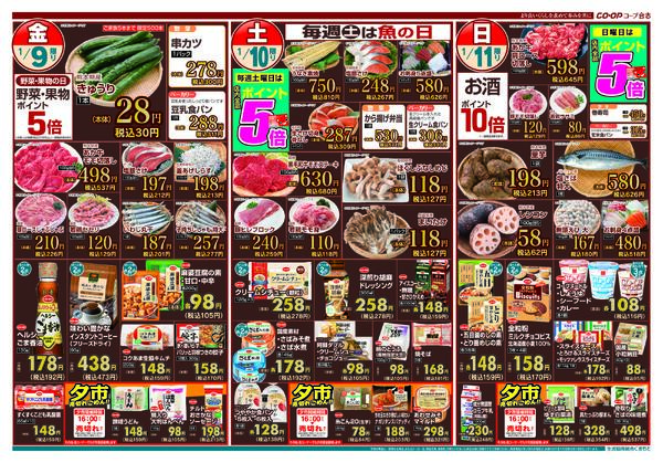 最新チラシnew-2