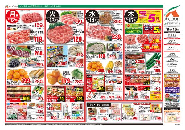 1月09日～1月15日-2