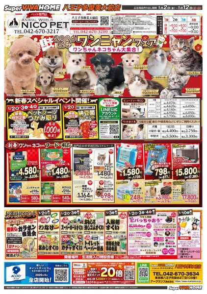 スーパービバホーム-2