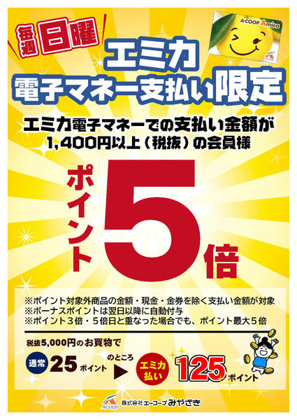 2026年1月4〜25日まで日曜日エミカ支払い5倍-1