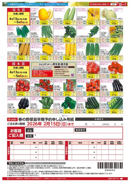 春の野菜苗　早期予約承ります！-2