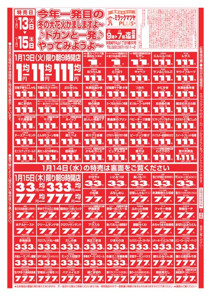 最新チラシnew-1