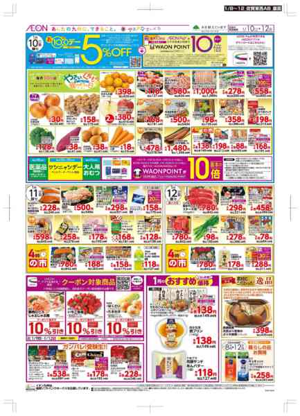 バラ売り大歓迎！1枚490円！ パール柑 訳あり 箱込9キロ（8kg＋保証分500g）文旦 土佐文旦の